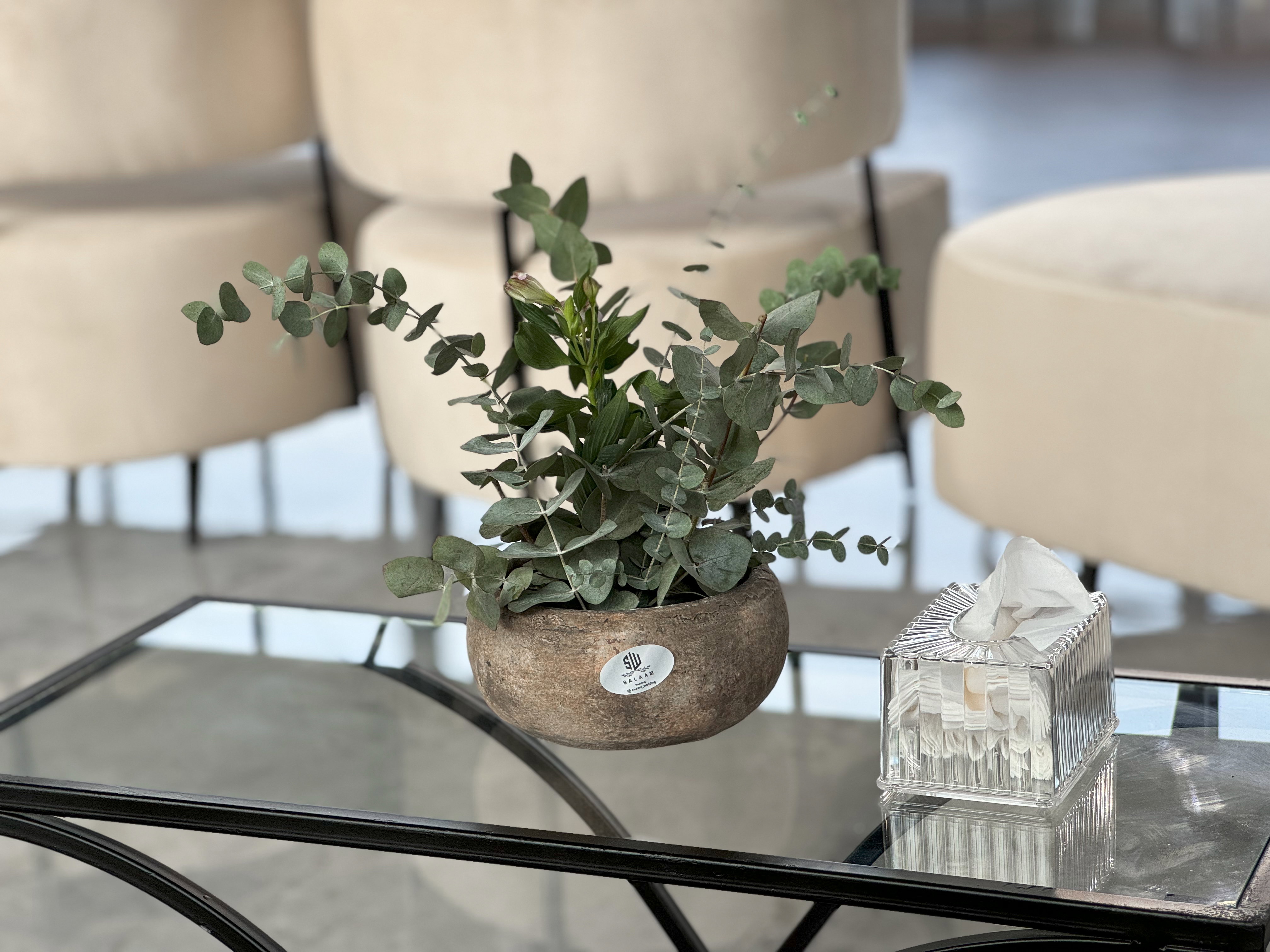 Jawharat Al Wasil Resort