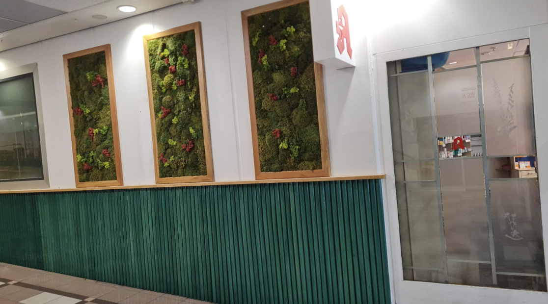 مركز ستاكين