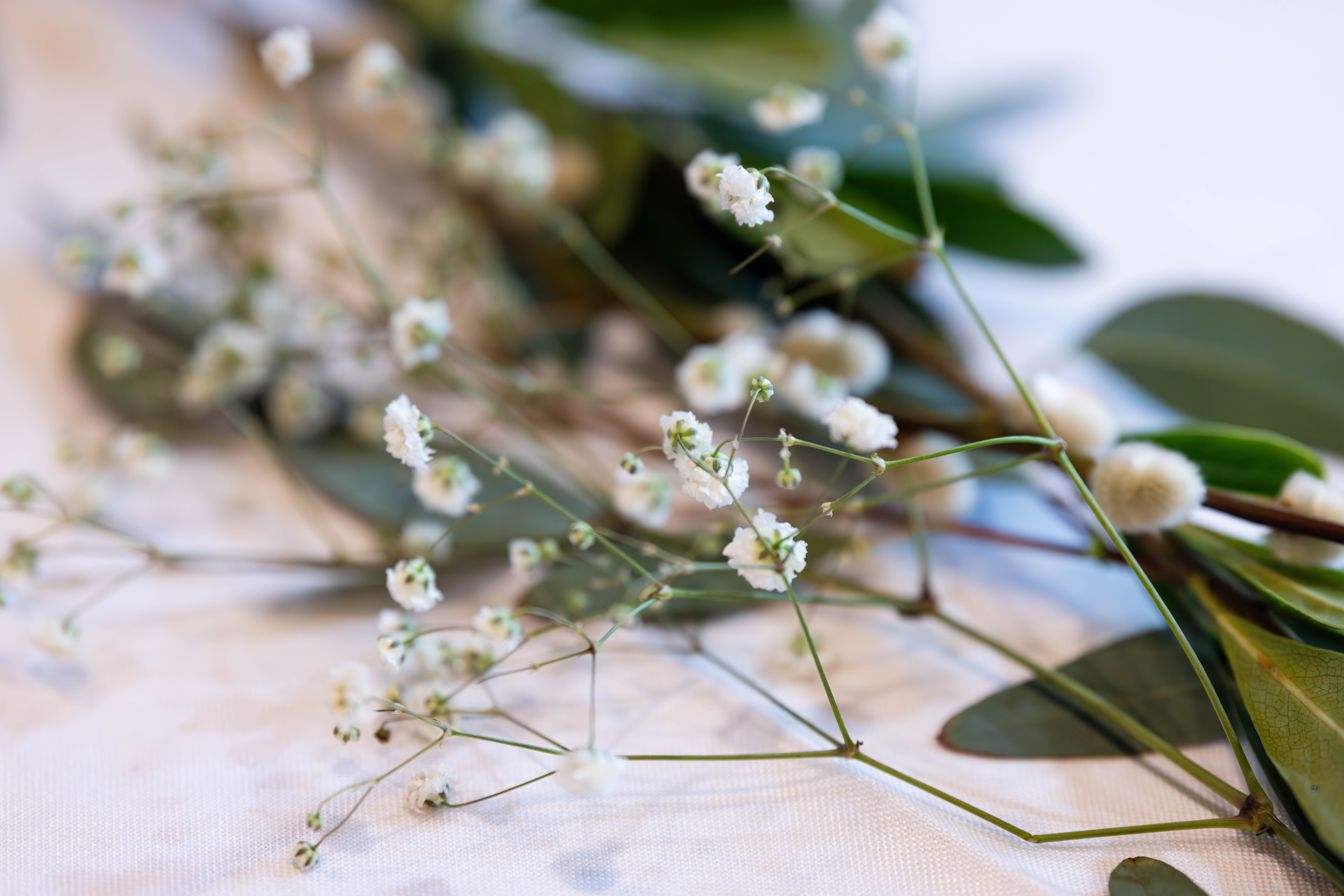 INFINI Possibilities