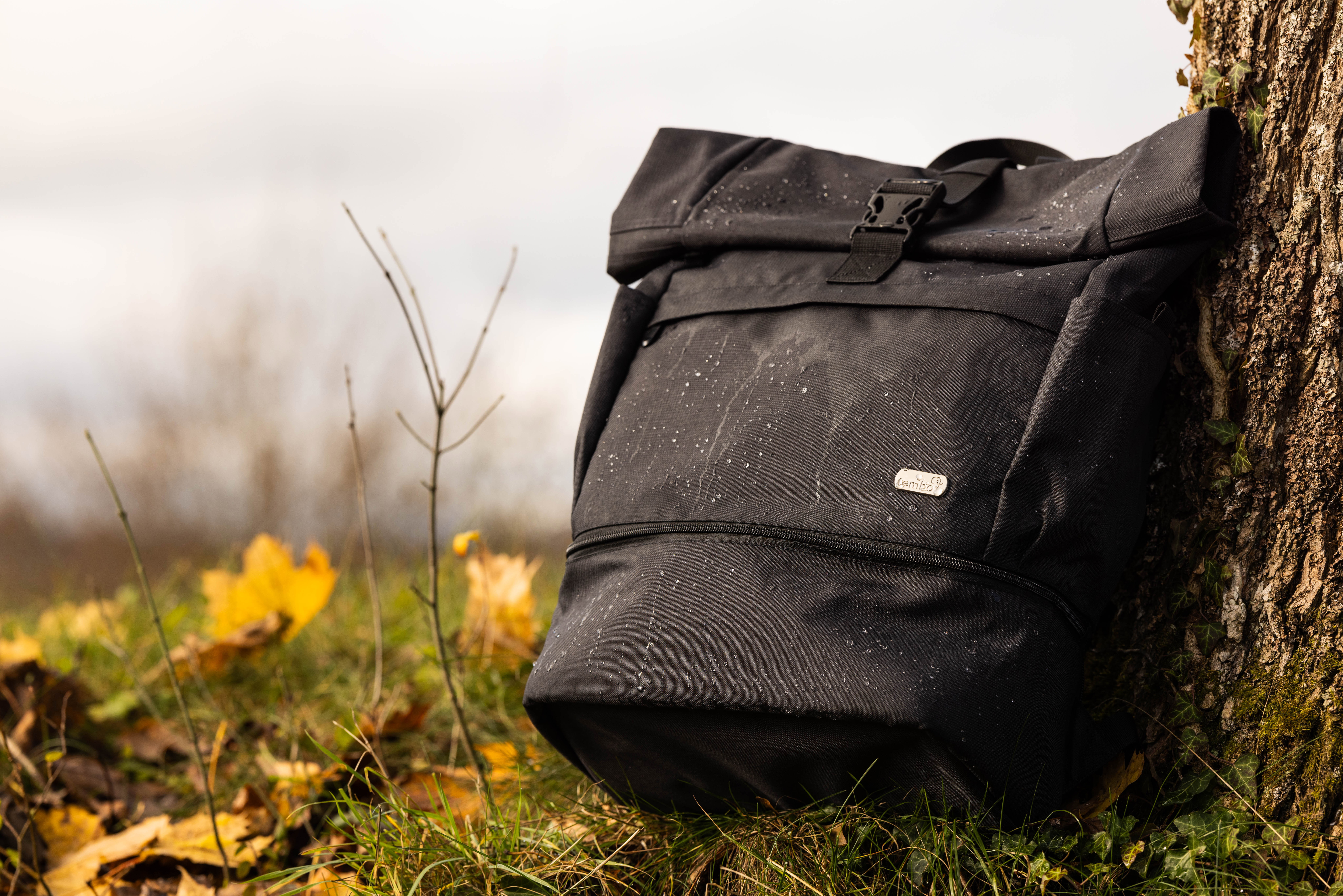 (3) Fotografía del producto preparada y retocada.