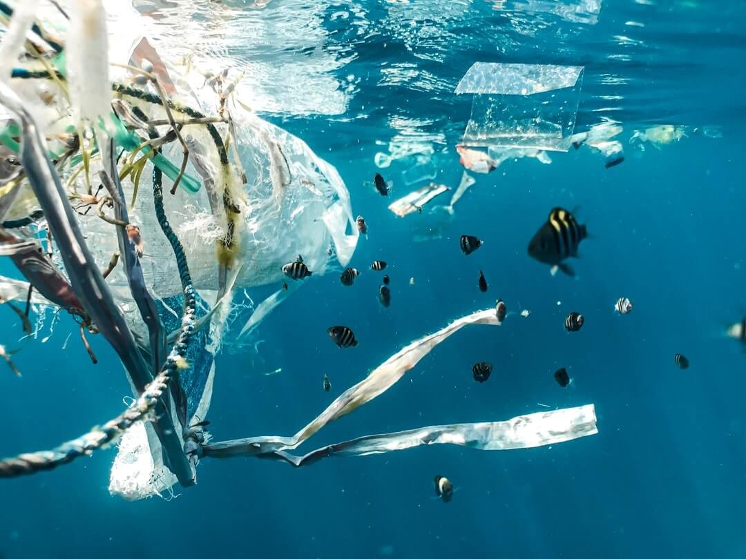 Plastik im Meer wird zu Mikroplastik