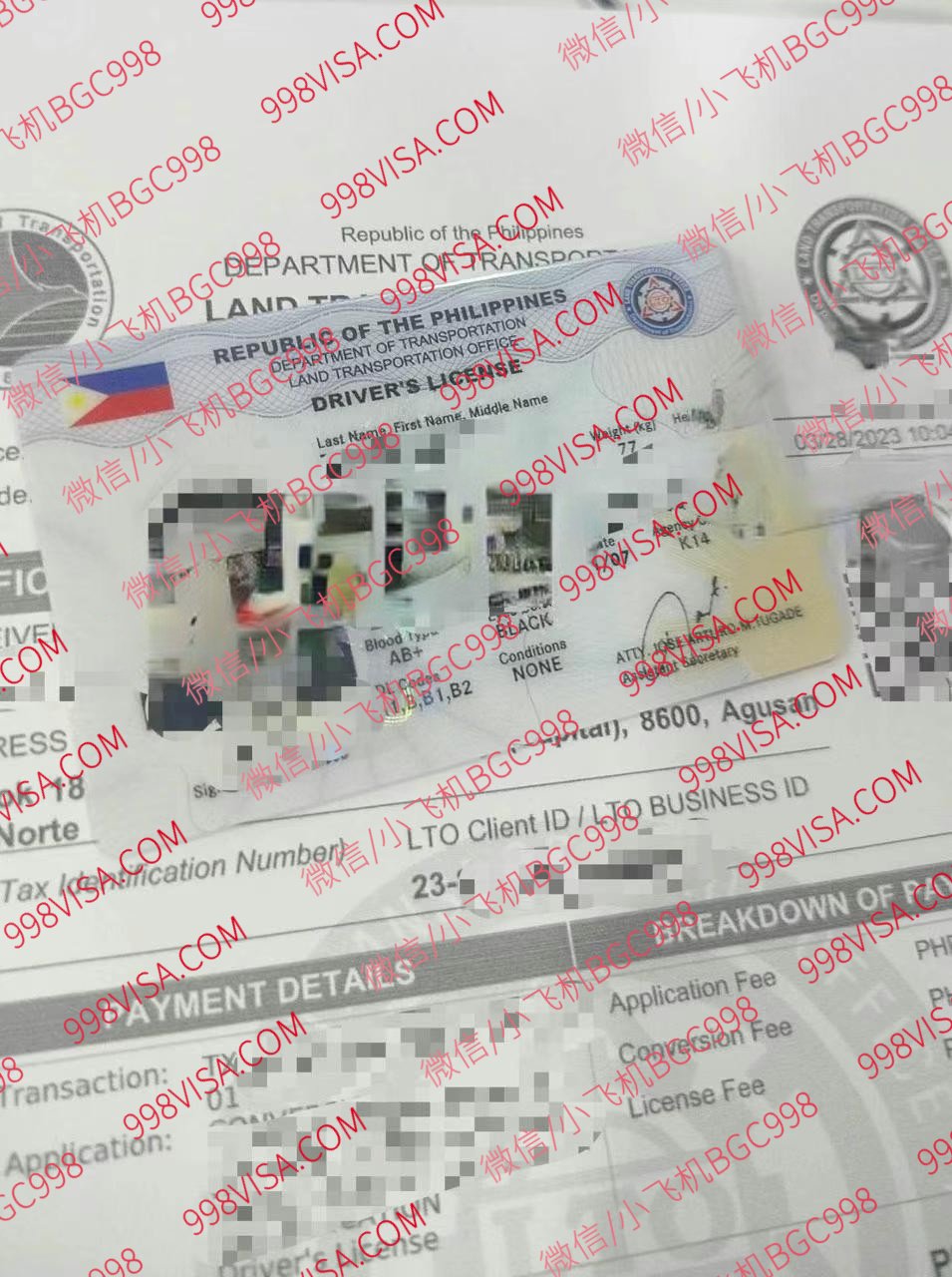 菲律宾驾驶证样式