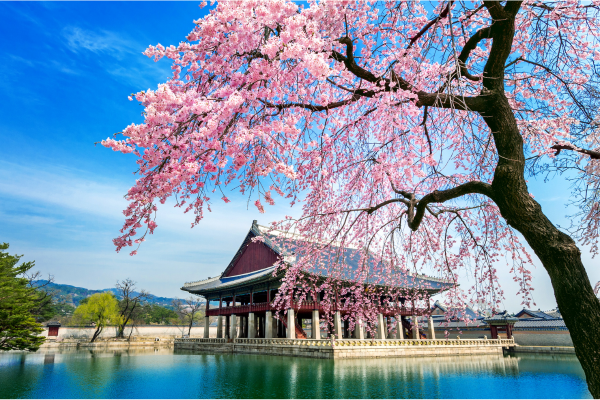 韩国旅游指南 - 最佳旅游时间