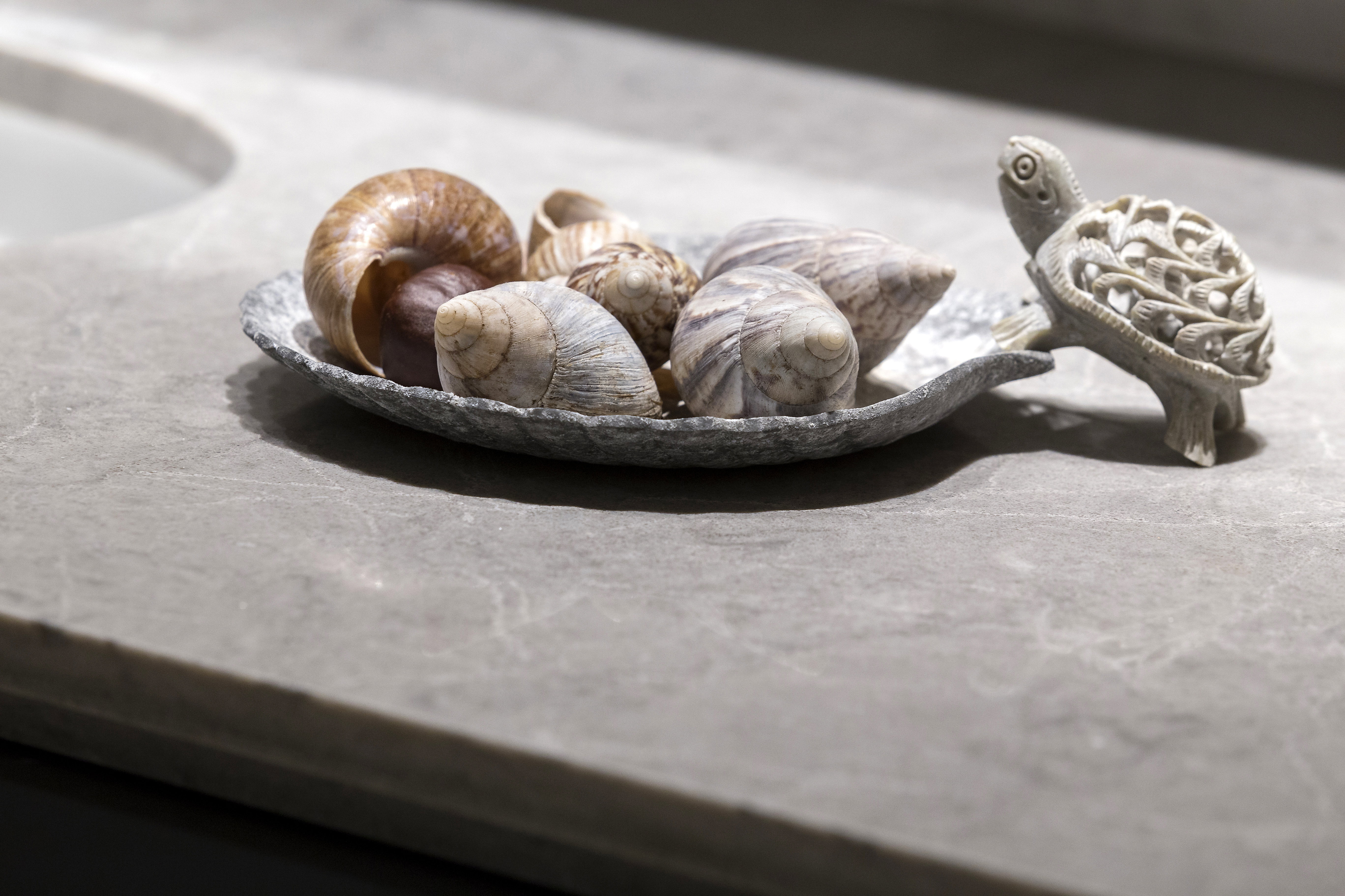 Mini penthouse à Netanya