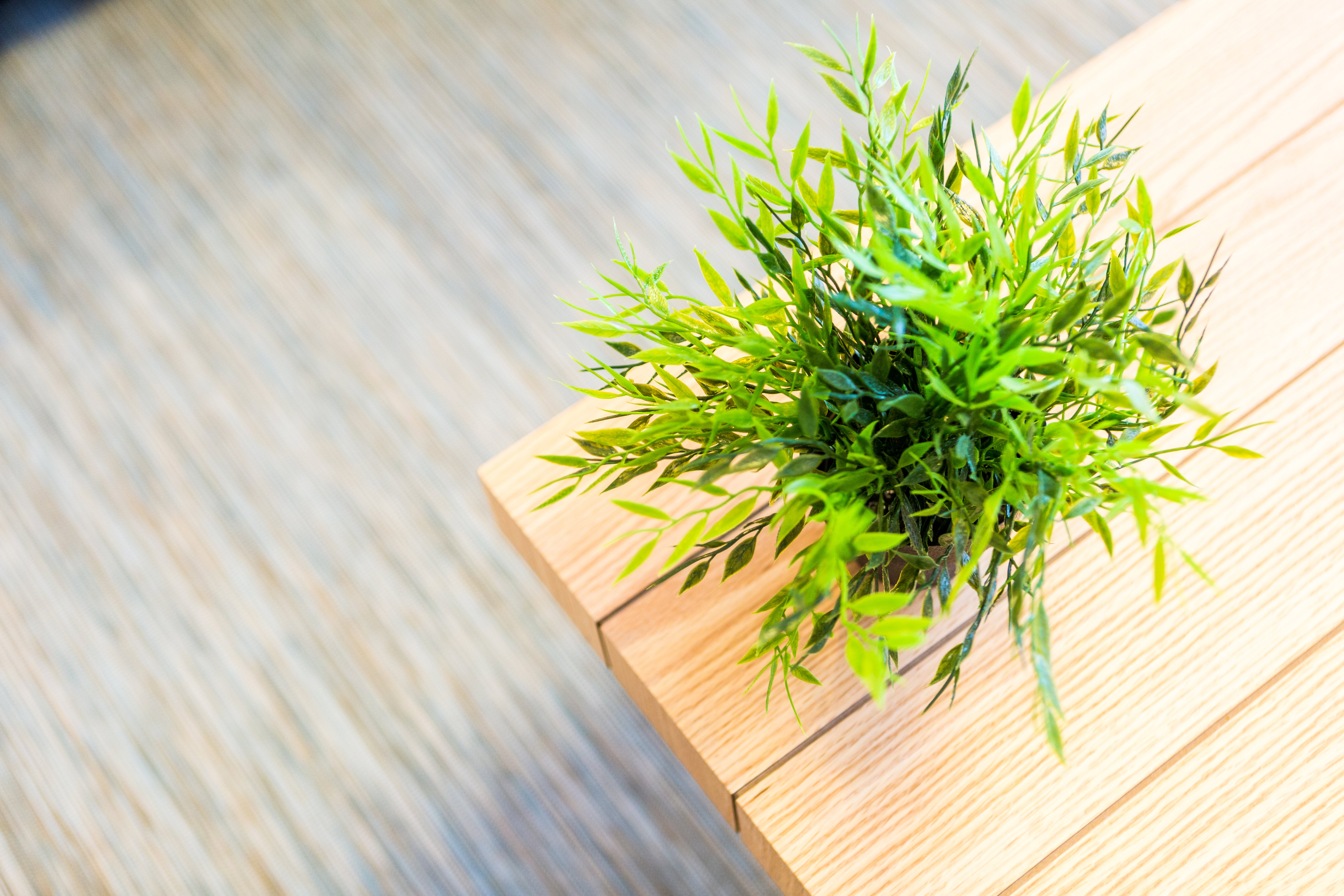 Appartement à Rehovot