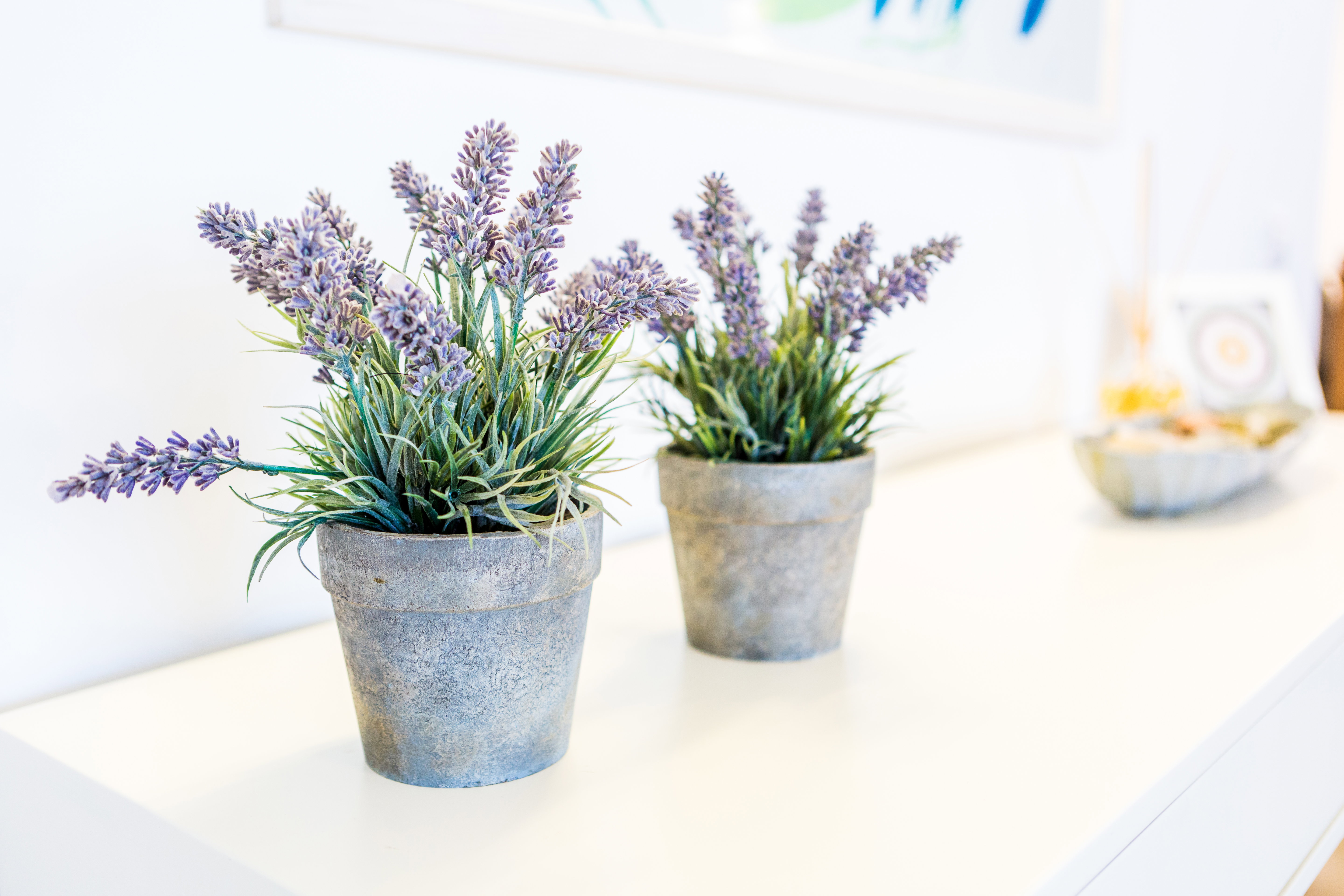 Appartement à Rehovot