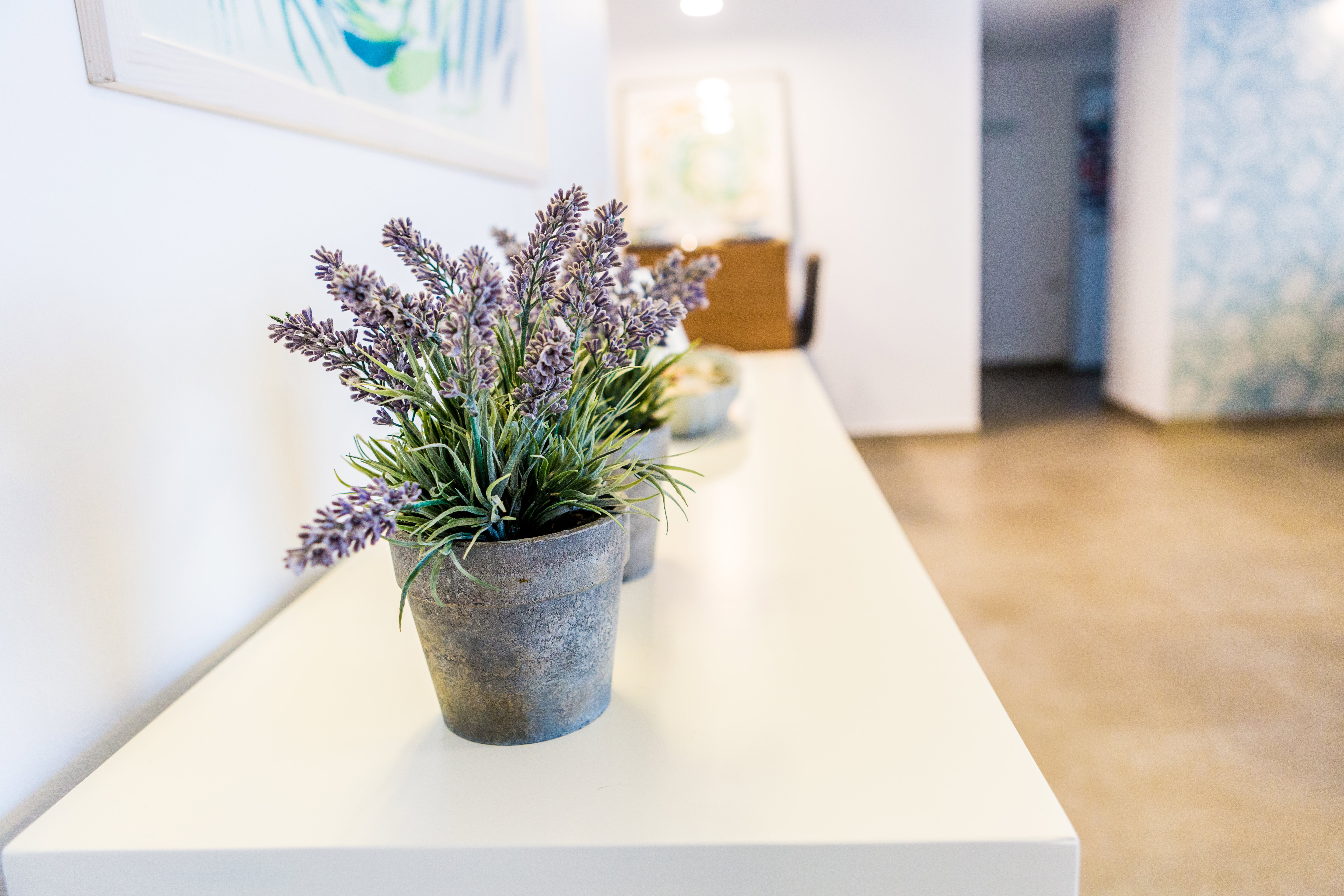 Appartement à Rehovot