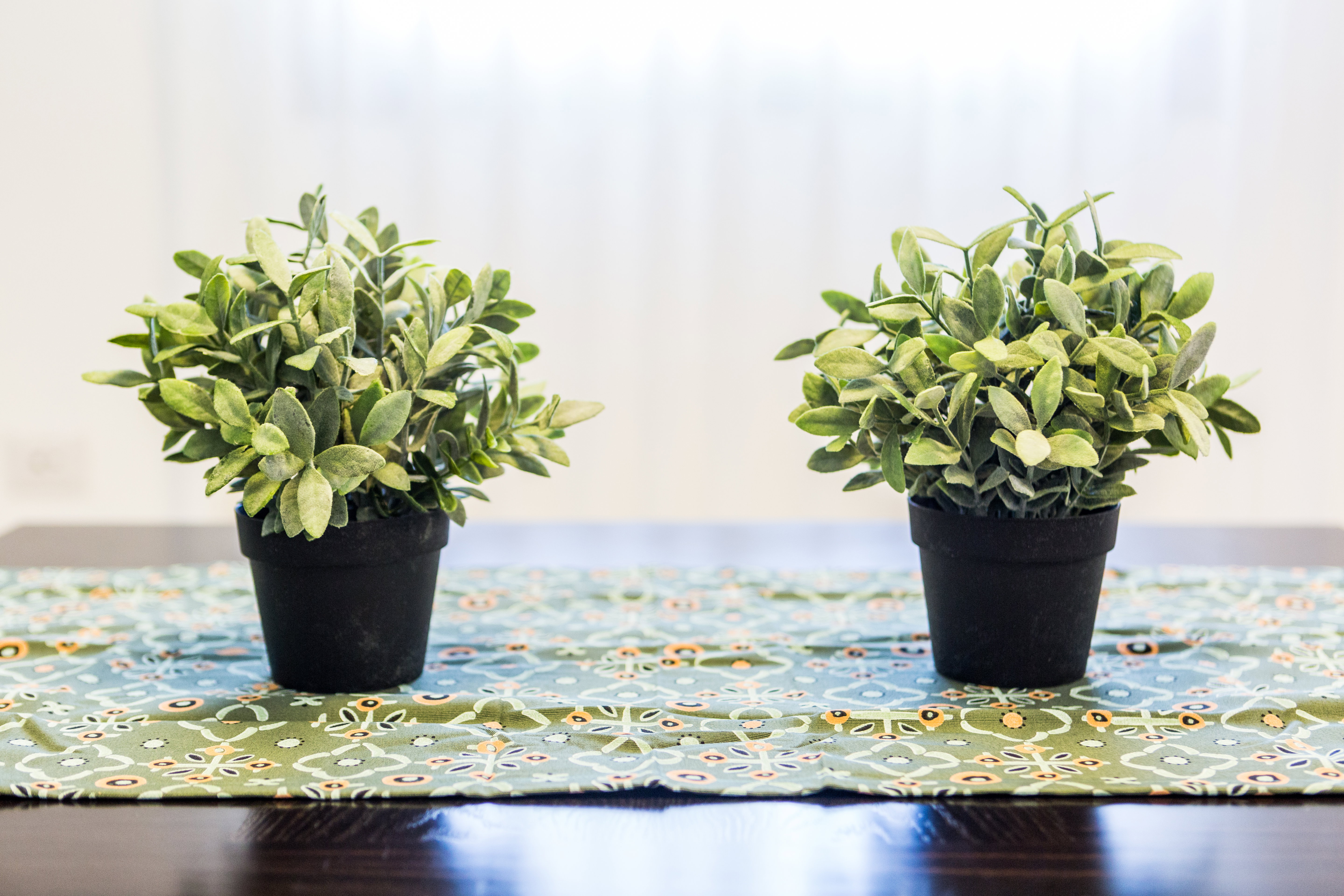 Appartement à Rehovot