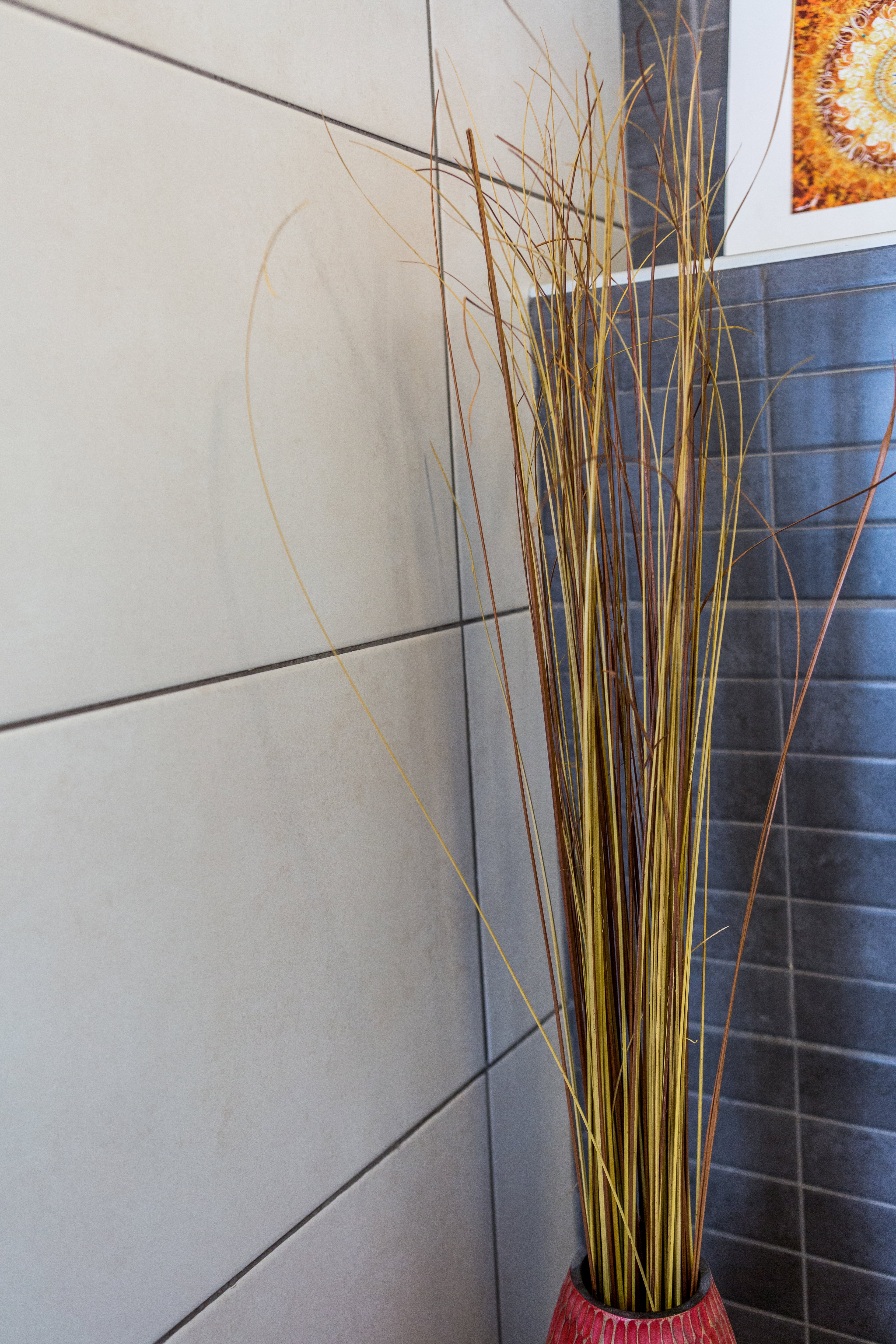 Appartement à Rehovot