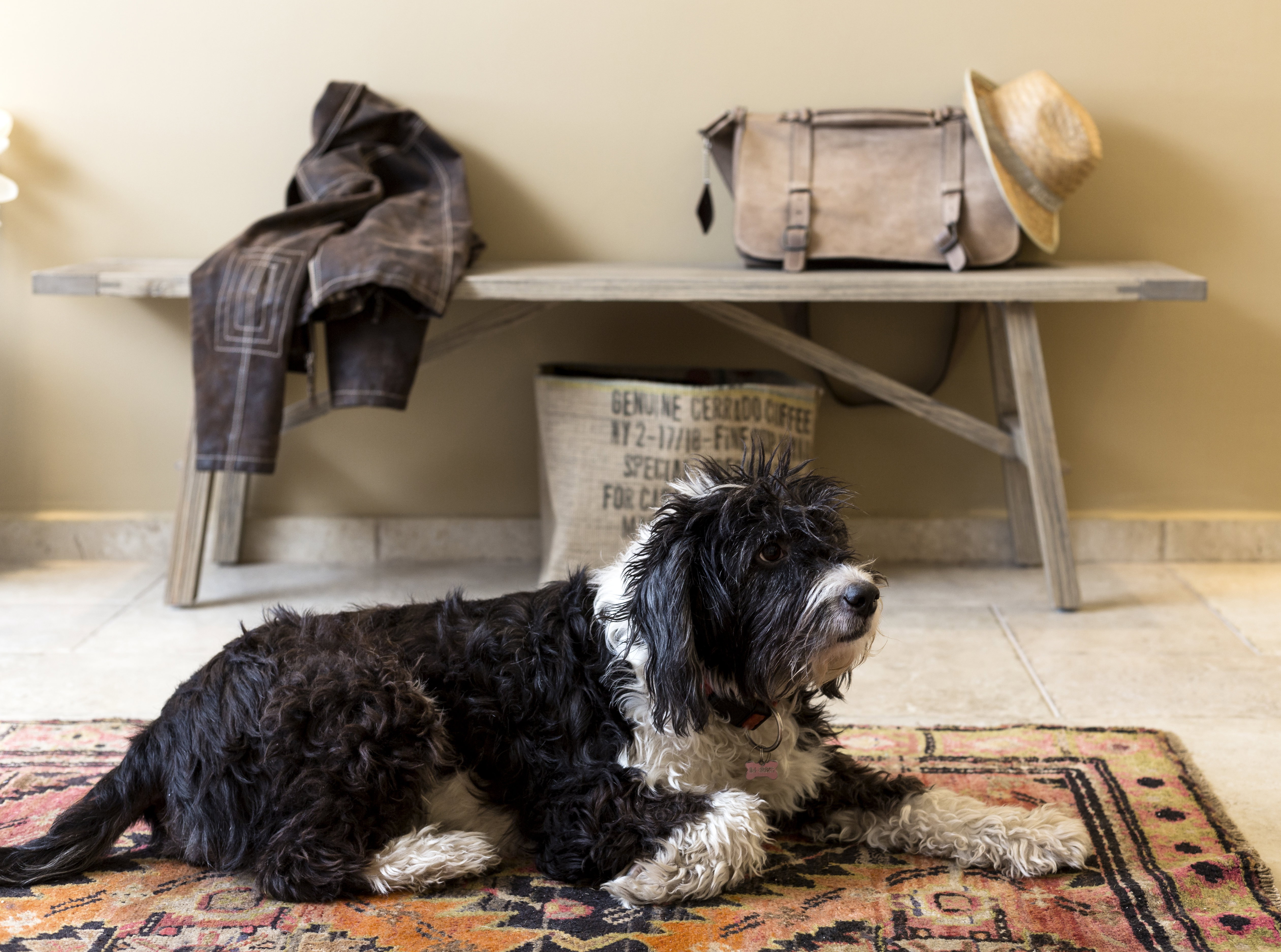 Appartement 1 à Ramat Gan