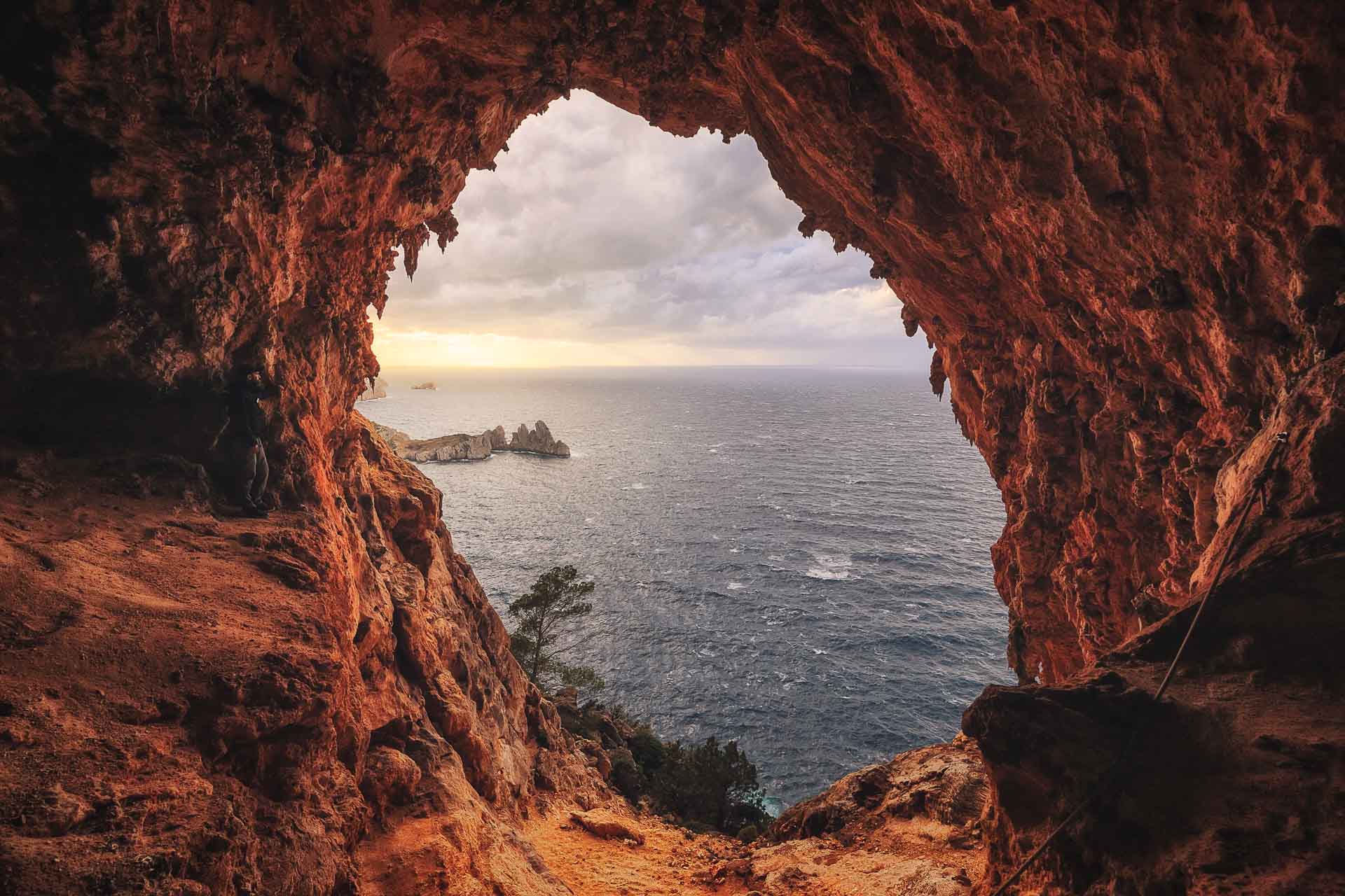 A WALK THROUGH WILD VAULTS