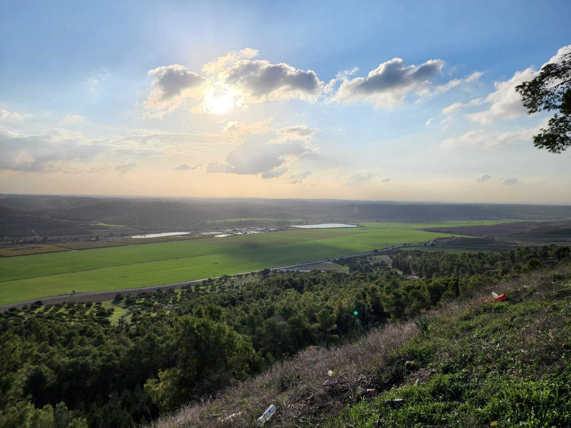 צרעה , אחרי הגשם 25.12.23