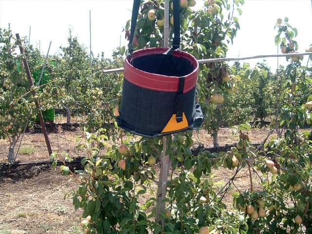 Different types of picking baskets