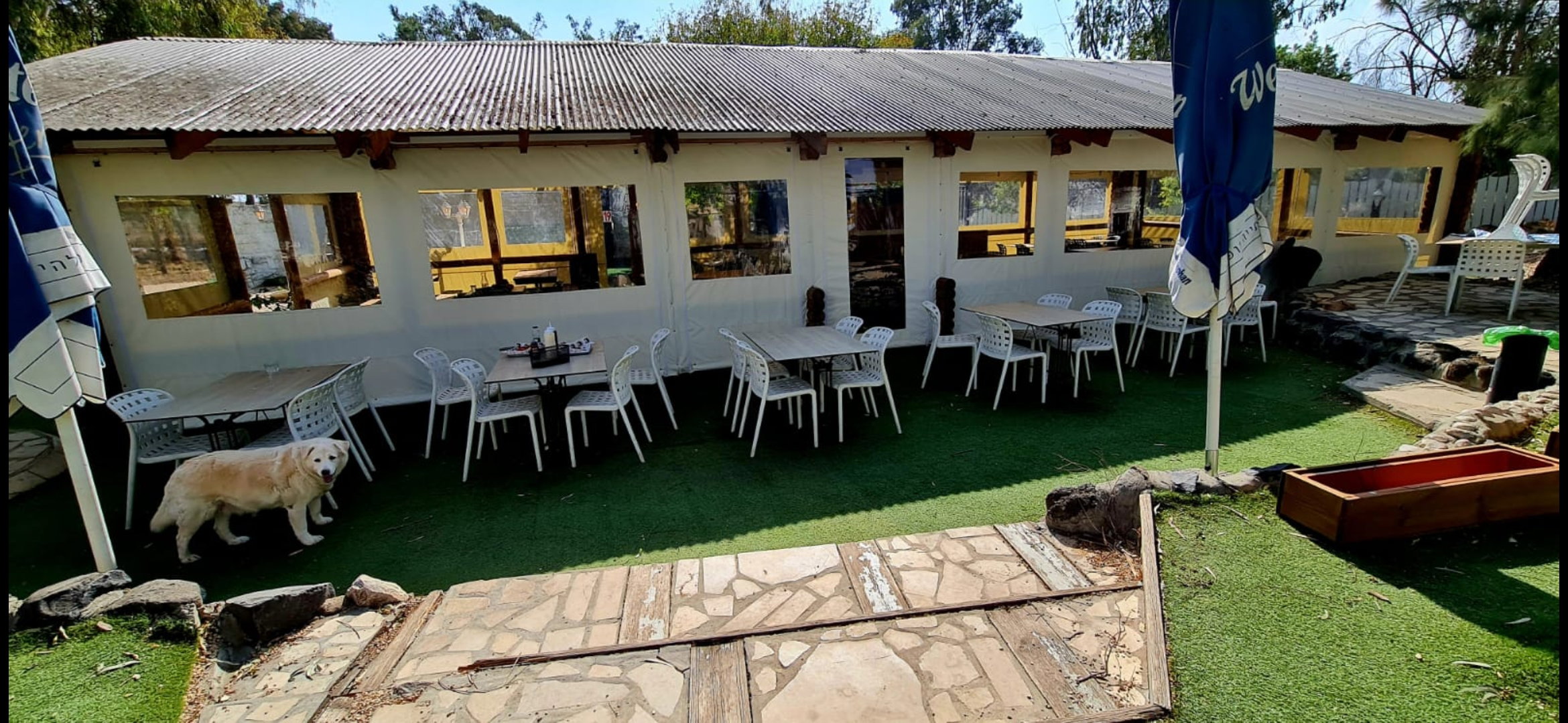 Tarpaulin costume made with transparent fabric