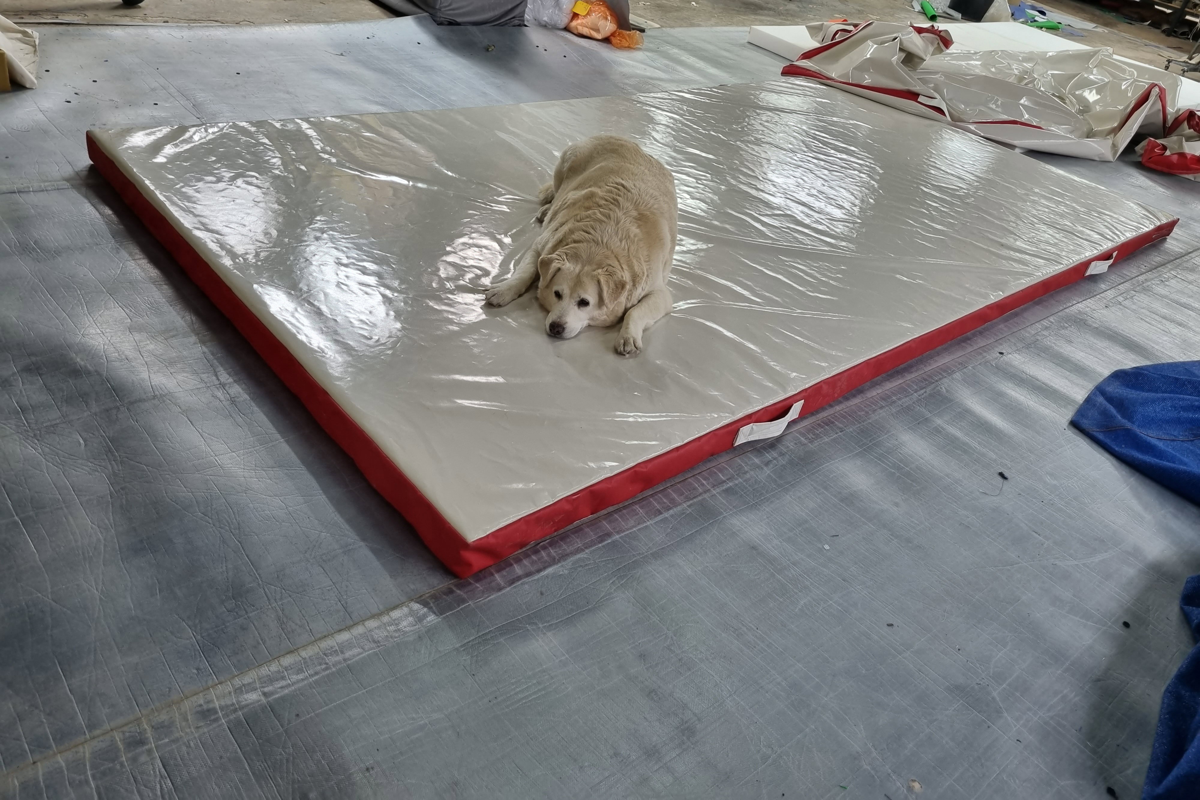 A variety of tarpaulin products on demand