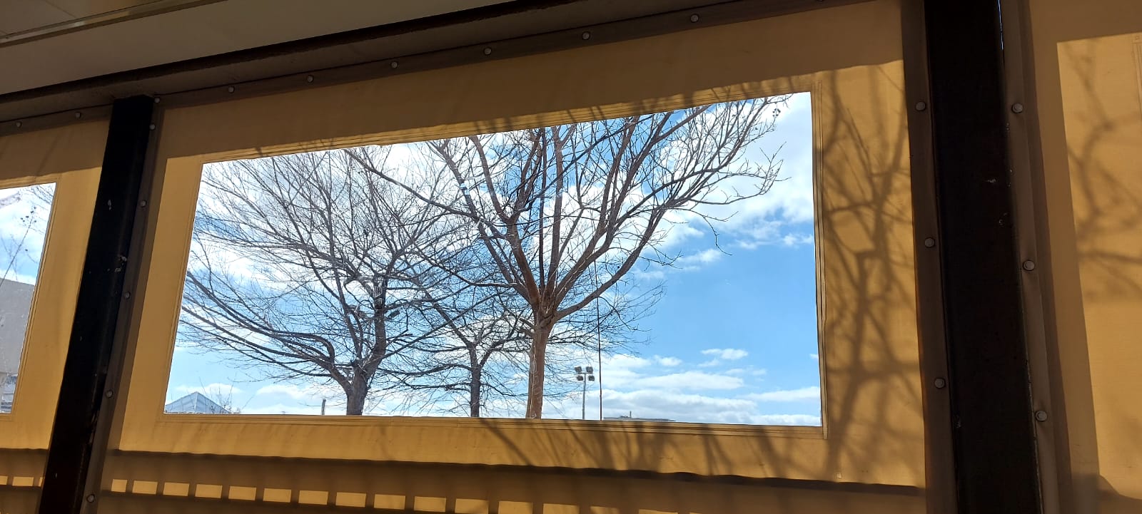 Tarpaulin costume made with transparent fabric