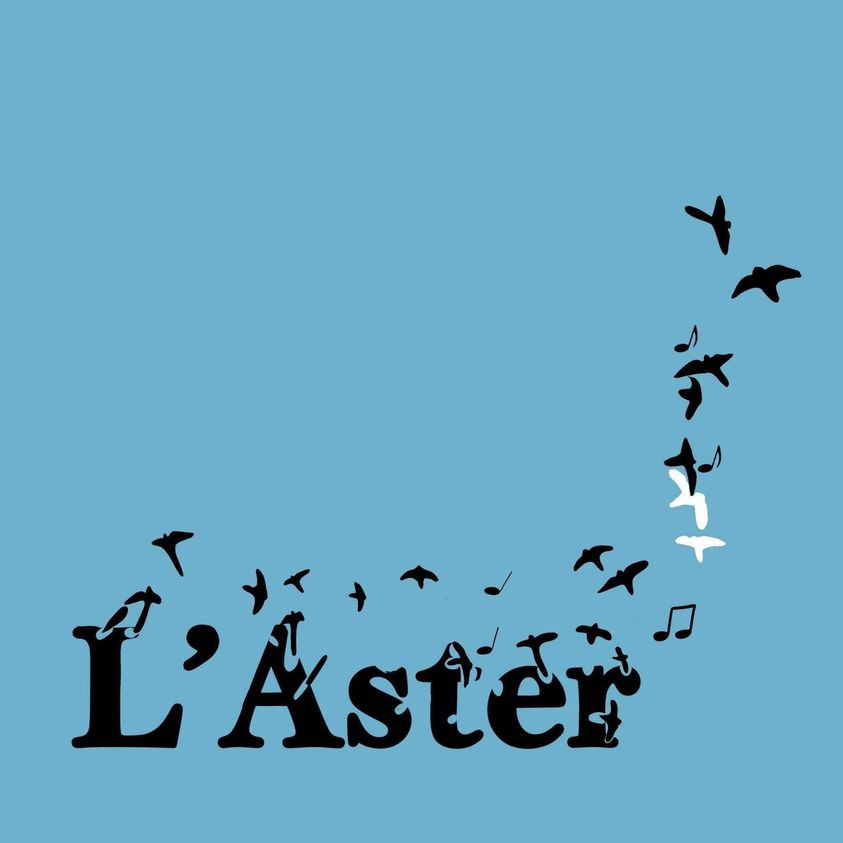 lsaster