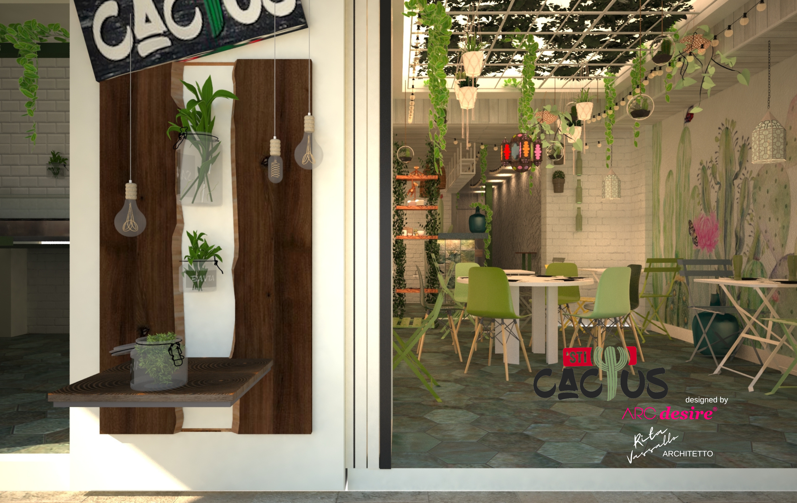 This cactus_Formentera