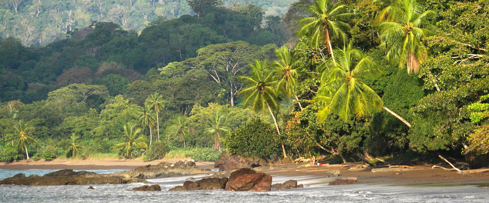Pura aventura…visita Bahía Drake
