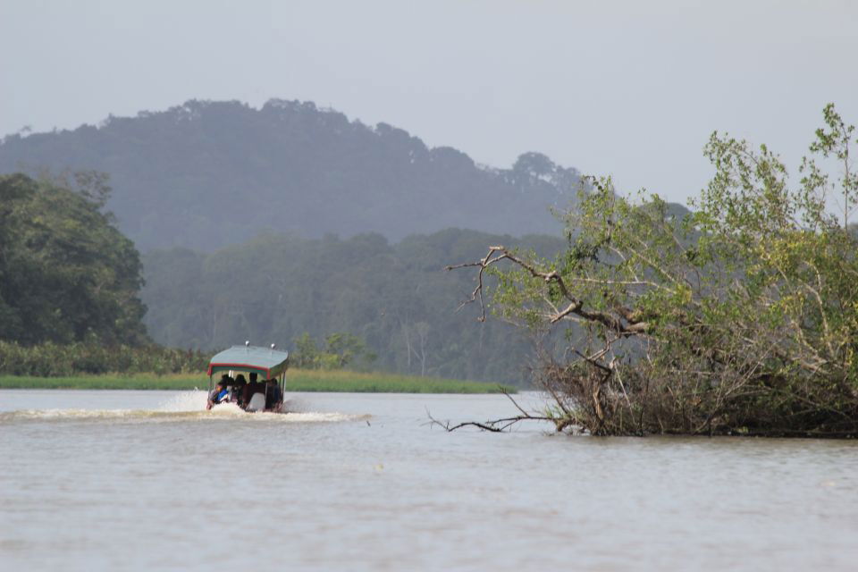 Insel Caño