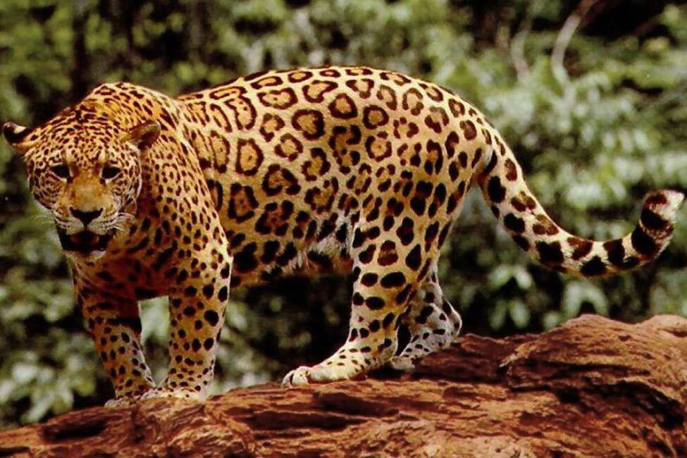 Ein ganz besonderer Ort...