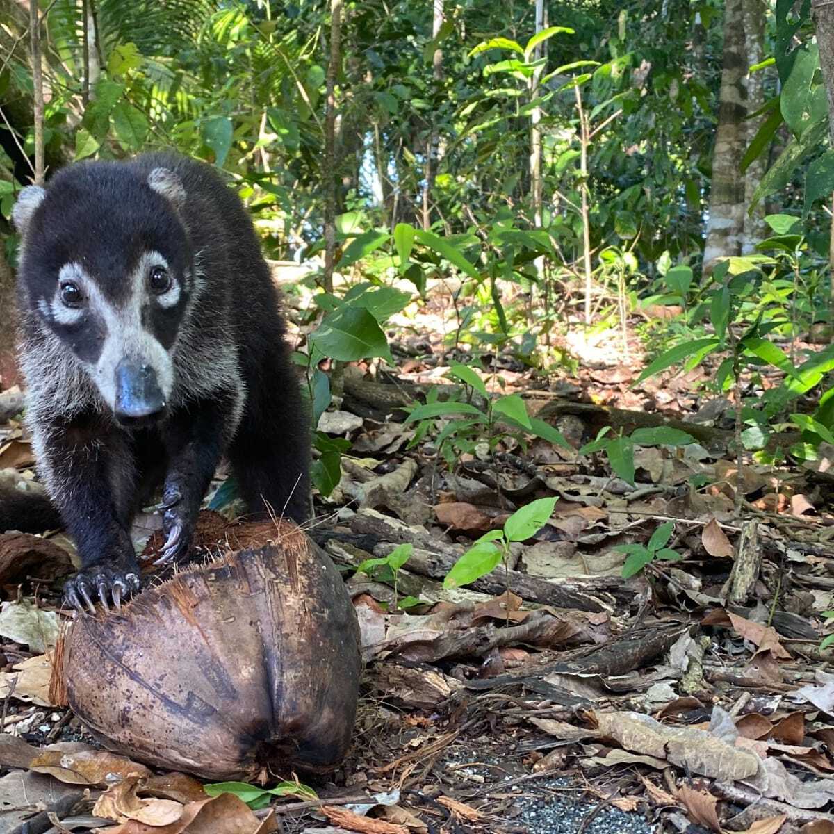 Ein ganz besonderer Ort...