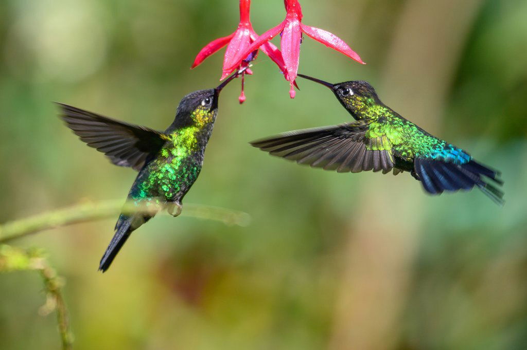 Ein ganz besonderer Ort...