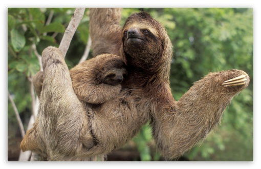 Ein ganz besonderer Ort...